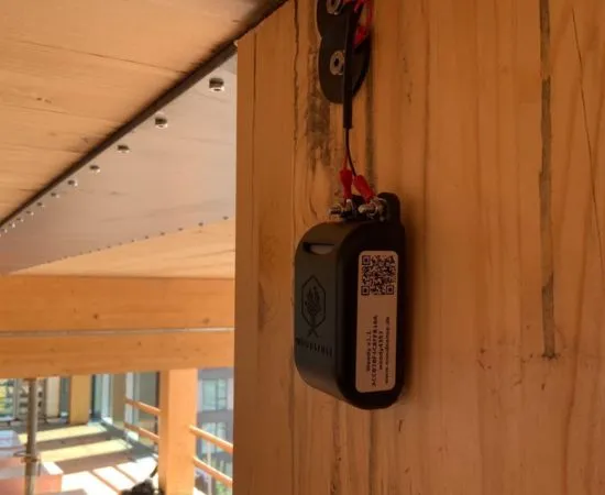 wood sensor installed on a CLT slab