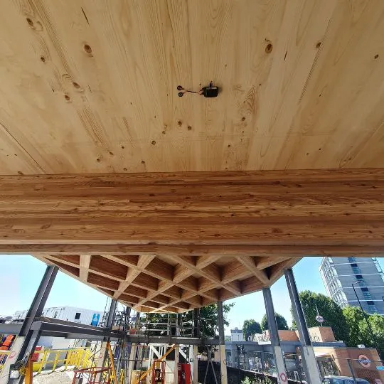 Smarter CLT construction starts with better moisture insight